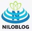 پایان نامه کارشناسی ارشد تاریخ